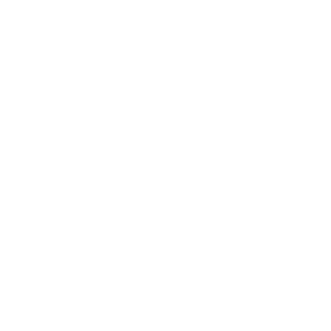 Cedarburg School District White Logo